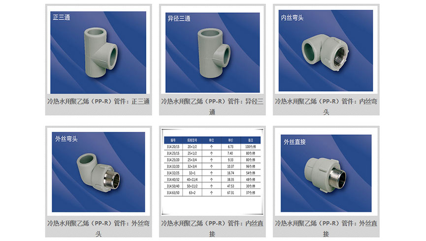 /static/active/2020315/style/cnchuanhui-7.jpg