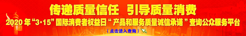 2020年“3.15”国际消费者权益日“产品和服务质量诚信承诺”查询公众平台